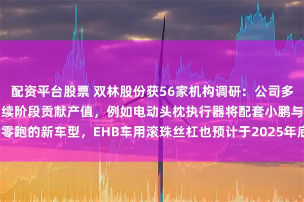 配资平台股票 双林股份获56家机构调研：公司多个新项目将在下半年及后续阶段贡献产值，例如电动头枕执行器将配套小鹏与零跑的新车型，EHB车用滚珠丝杠也预计于2025年底实现量产（附调研问答）