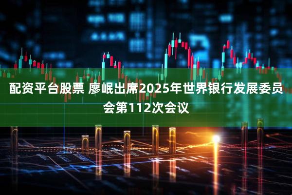 配资平台股票 廖岷出席2025年世界银行发展委员会第112次会议