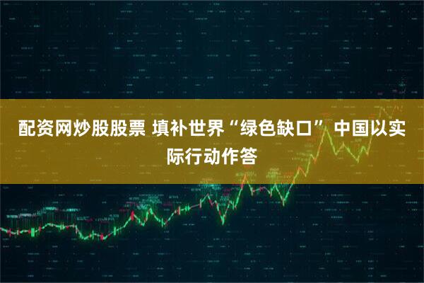 配资网炒股股票 填补世界“绿色缺口” 中国以实际行动作答