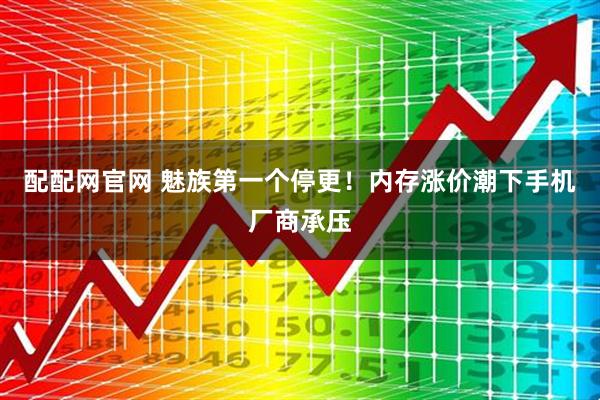 配配网官网 魅族第一个停更！内存涨价潮下手机厂商承压